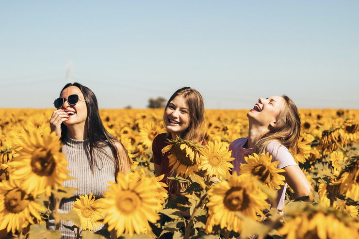 Drei junge Frau lachen in einem Sommerblumenfeld im Sommer